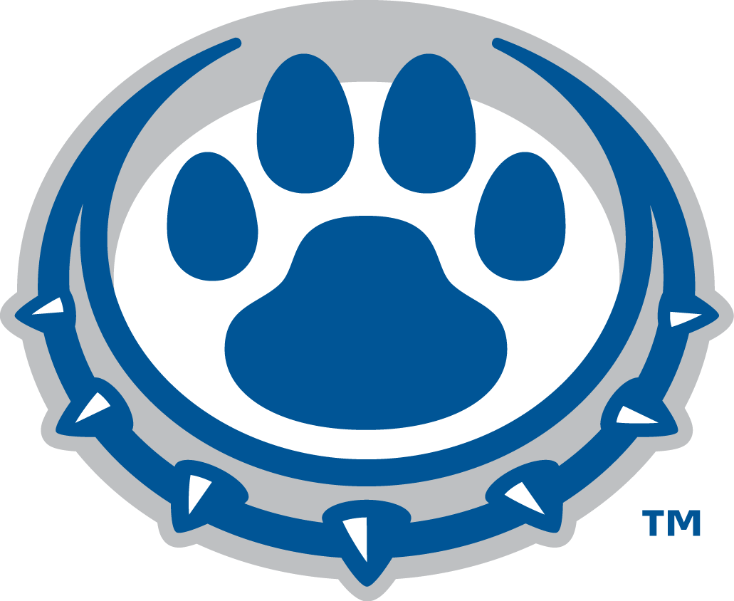 Drake Bulldogs 2015-Pres Alternate Logo iron on transfers for T-shirts